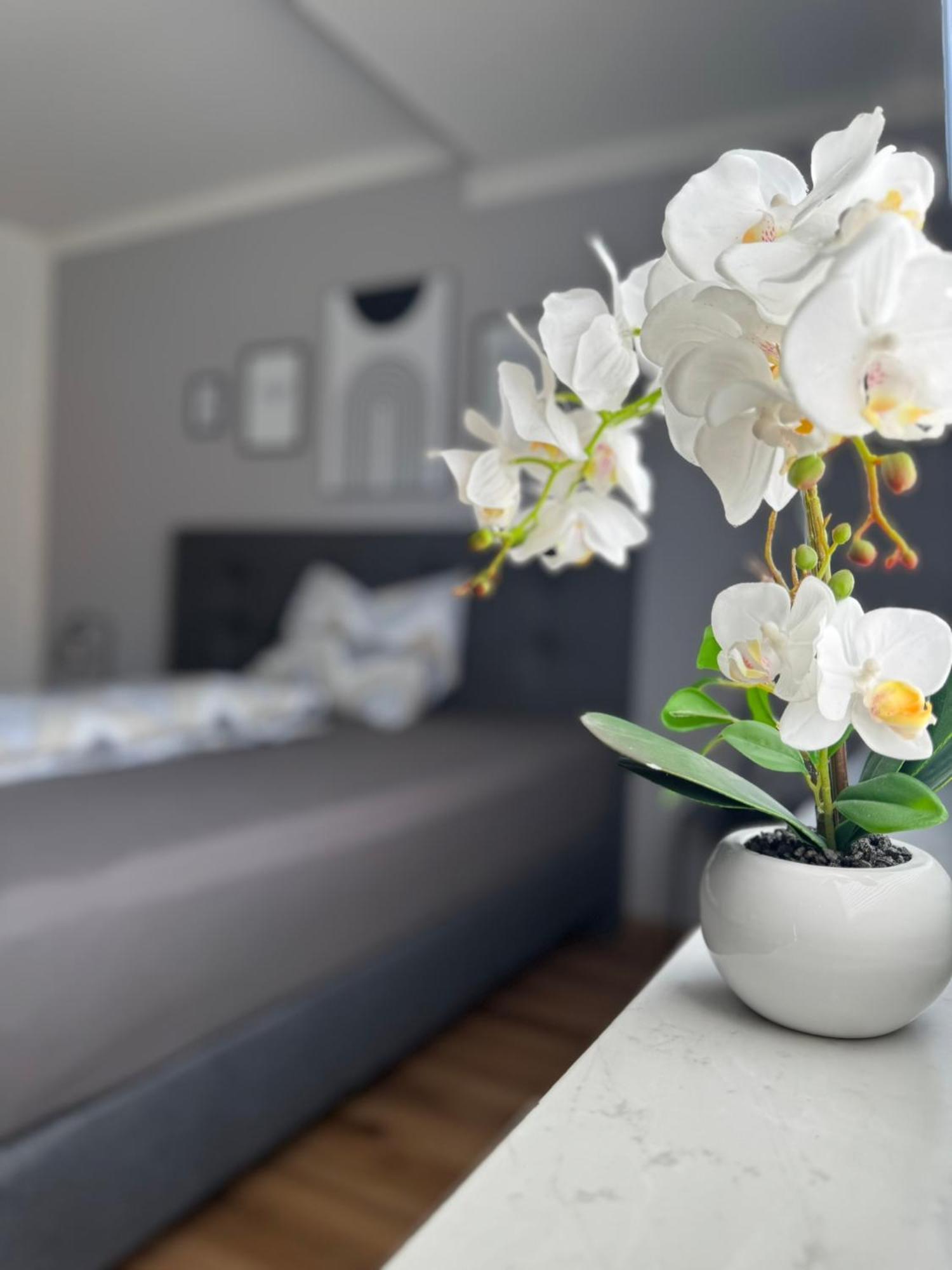 Ferienhaus Hunsrueckliebe Liederbach  Zewnętrze zdjęcie